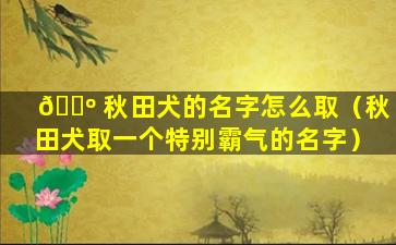 🐺 秋田犬的名字怎么取（秋田犬取一个特别霸气的名字）